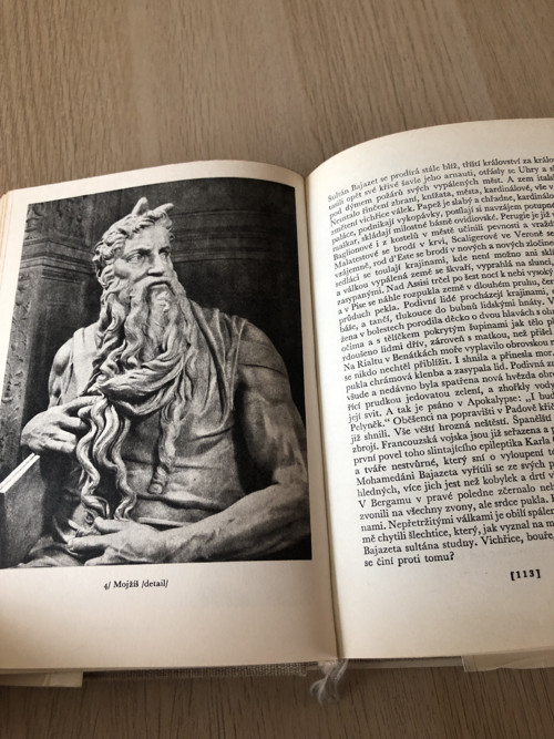 Karel Schulz "Kámen a bolest" — foto 4