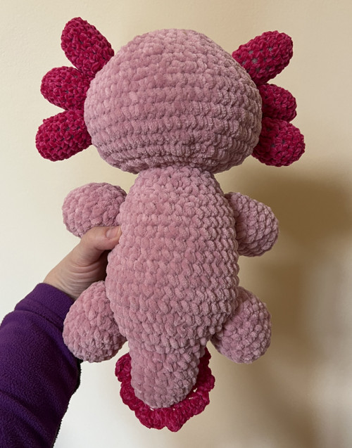 Axolotl Sam — foto 3