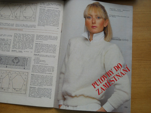 Praktická žena 9 / 88 — foto 6
