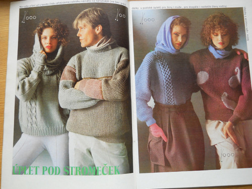 Praktická žena 10 / 88 — foto 2