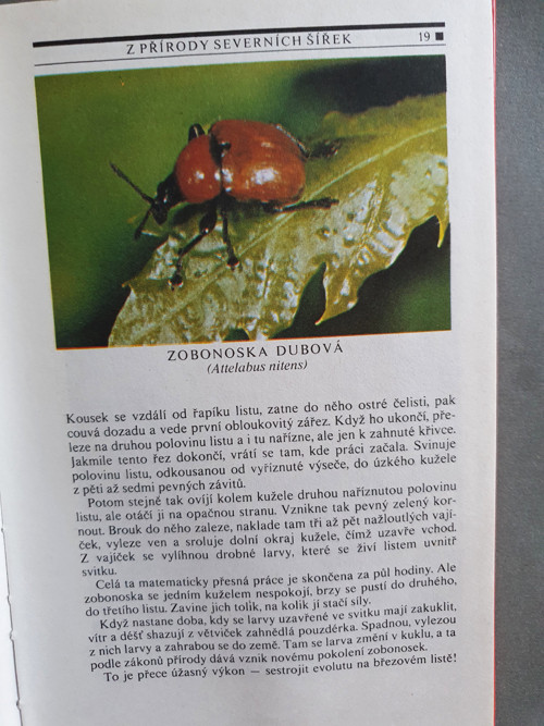 Podivuhotná zvířata — foto 2