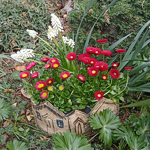 Domečkový obal na květiny — foto 5