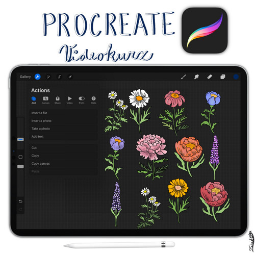 Procreate - Vaše cesta k digitální kreativitě — foto 2