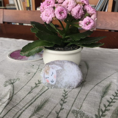 Ovečka — foto 3