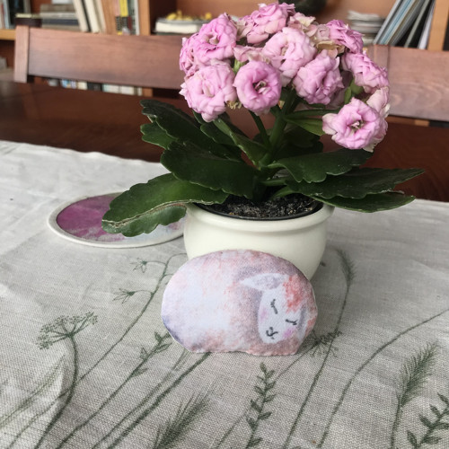 Ovečka — foto 3