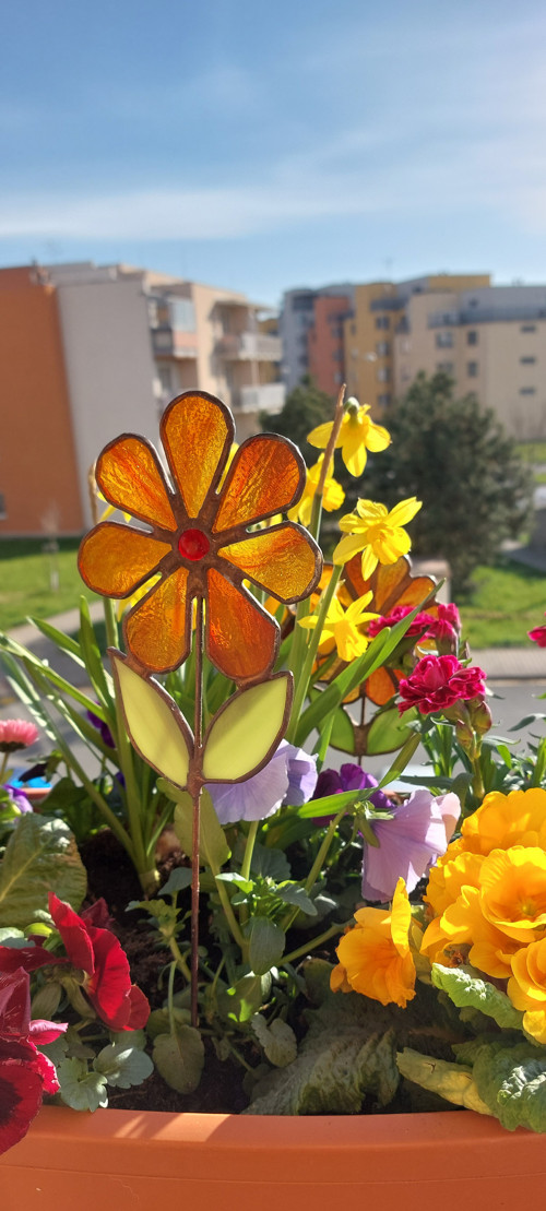 Květina zápich — foto 2