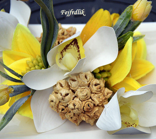 Cymbidie s tulipány — foto 4