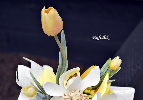 Cymbidie s tulipány — foto 3