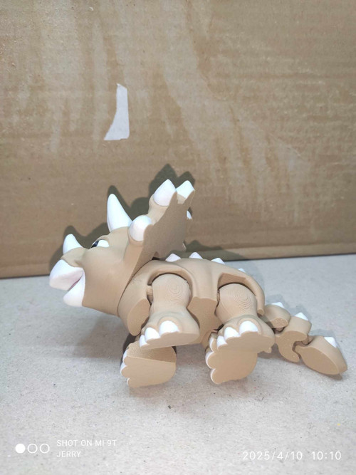 Triceratops — foto 3
