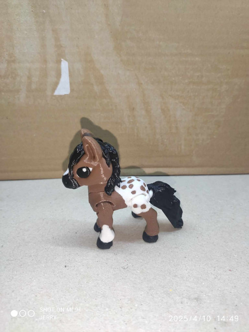 Malý kůň - Appaloosa — foto 2