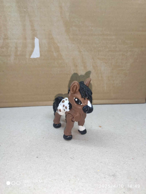 Malý kůň - Appaloosa — foto 5