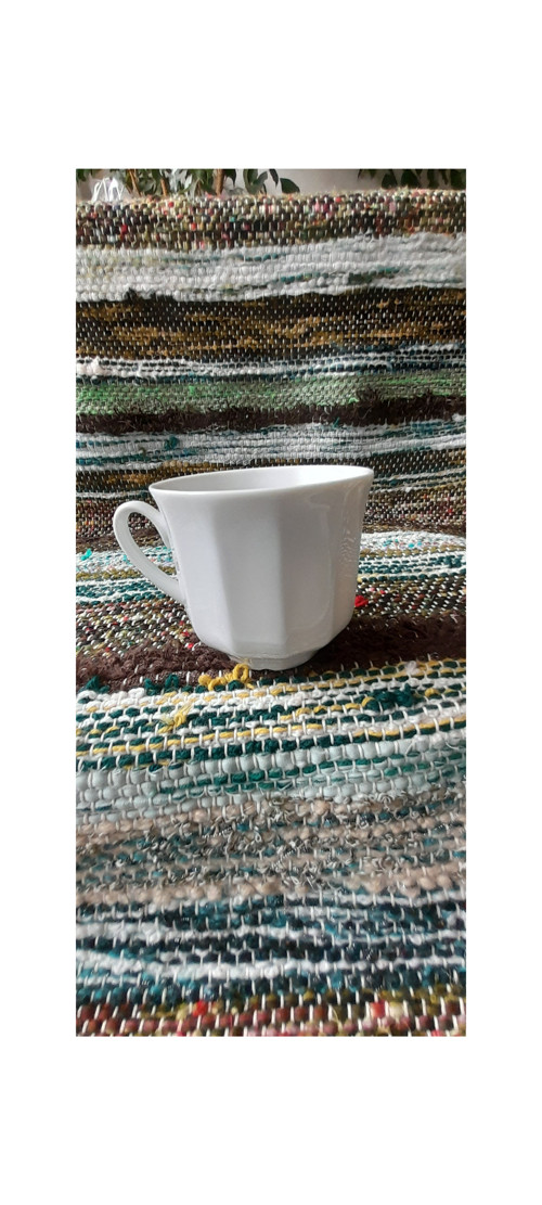 Delvita — foto 5