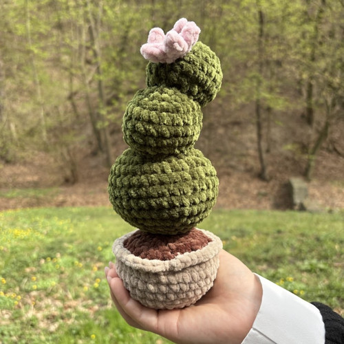 Háčkovaný kaktus — foto 3