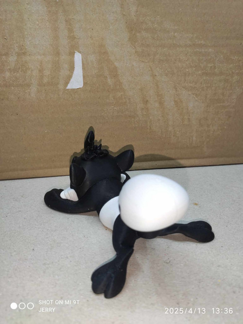 Skunk — foto 5