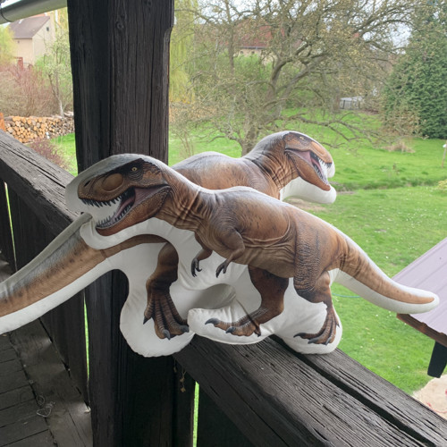 Polštář 3D - Dinosourus L — foto 3