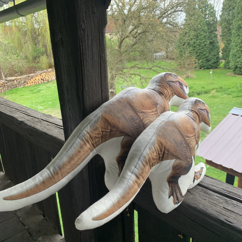 Polštář 3D - Dinosourus L — foto 2