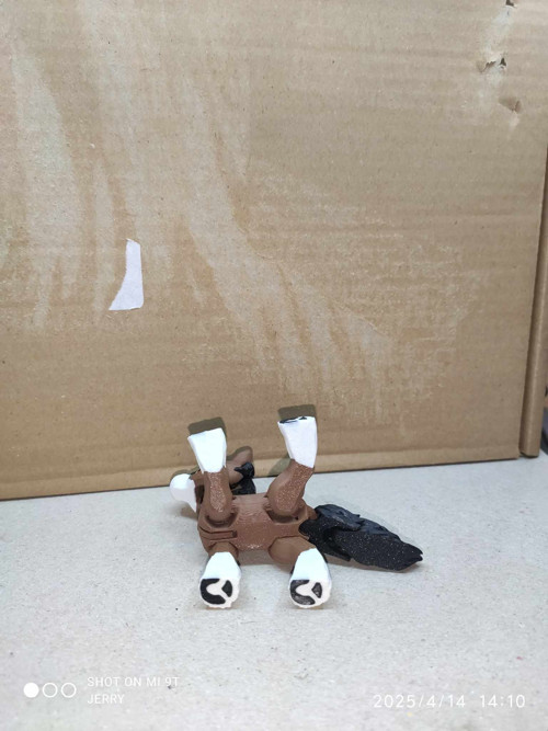 Malý kůň - Clydesdale — foto 5
