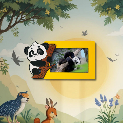 Panda — foto 3