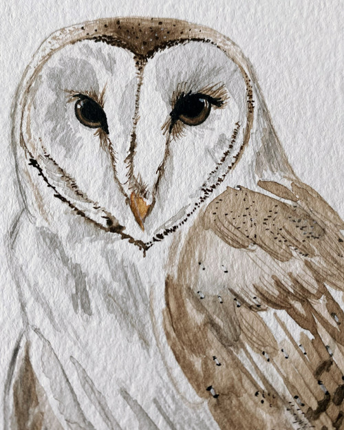 Sova pálená - akvarel, originál, A5 — foto 3