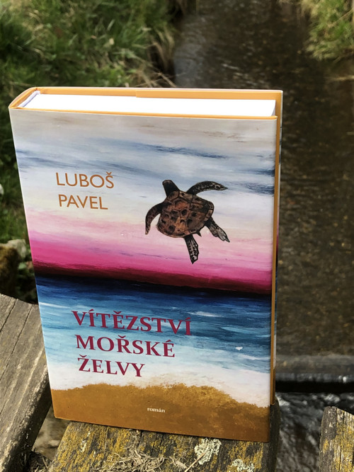 Vítězství mořské želvy — foto 3