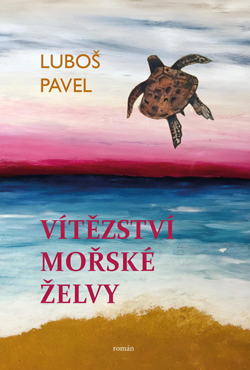 Vítězství mořské želvy — foto 5