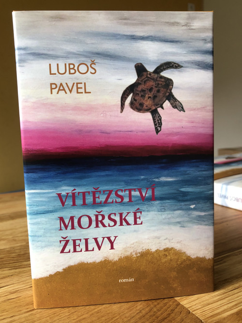 Vítězství mořské želvy — foto 4