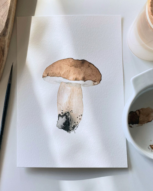 Hríb dubový - akvarel, originál, A5 — foto 2