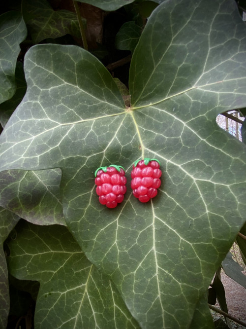 Raspberry — foto 4