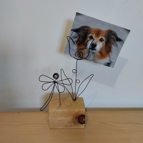 Zahrádka — foto 3