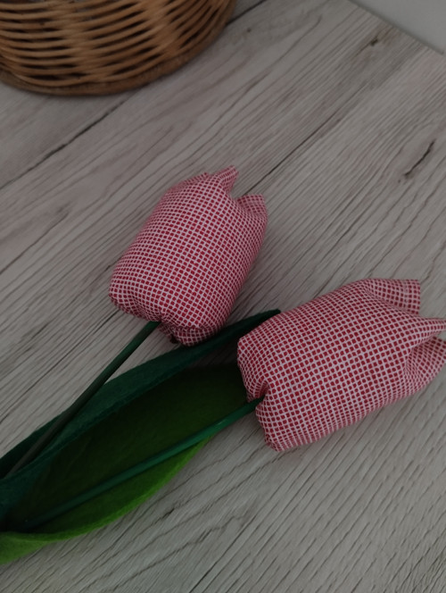 Tulipány — foto 2