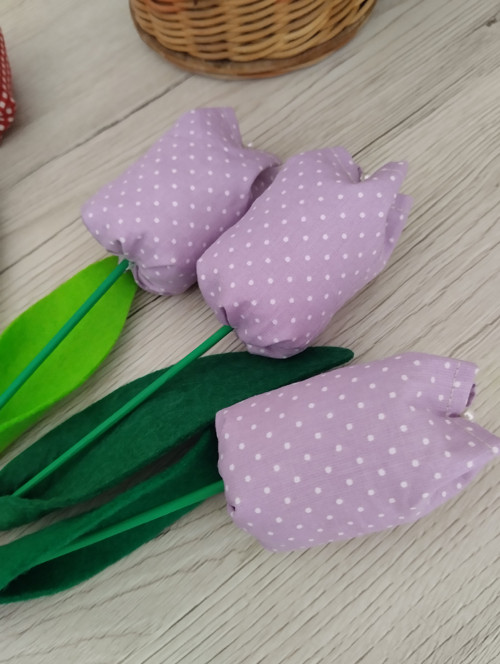 Tulipány — foto 4