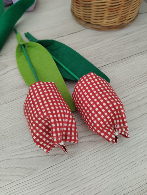 Tulipány — foto 6