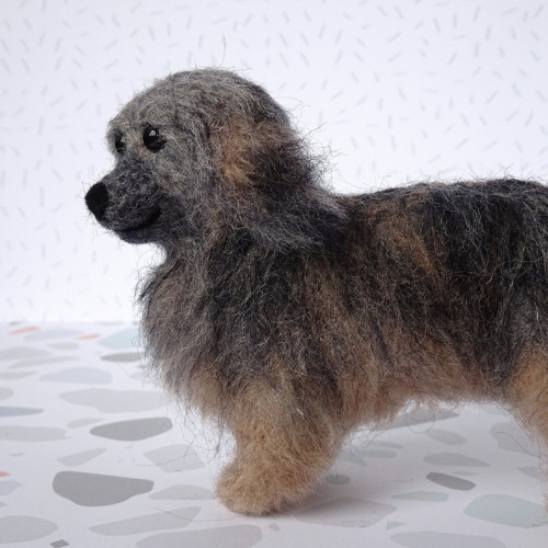 Pejsek Chucky — foto 4