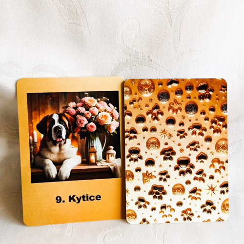 Svatobernardský Lenormand — foto 2