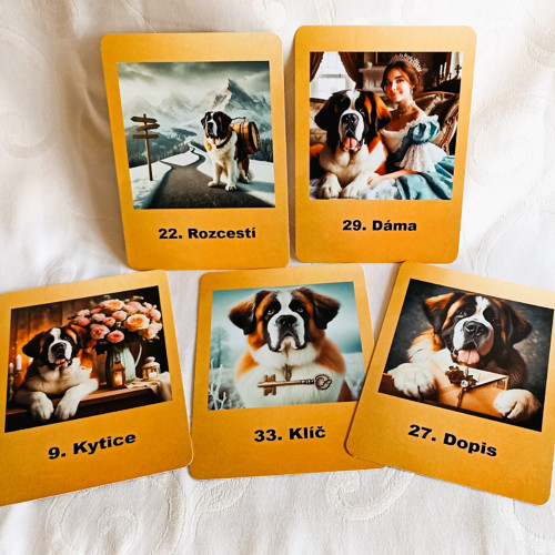 Svatobernardský Lenormand — foto 3