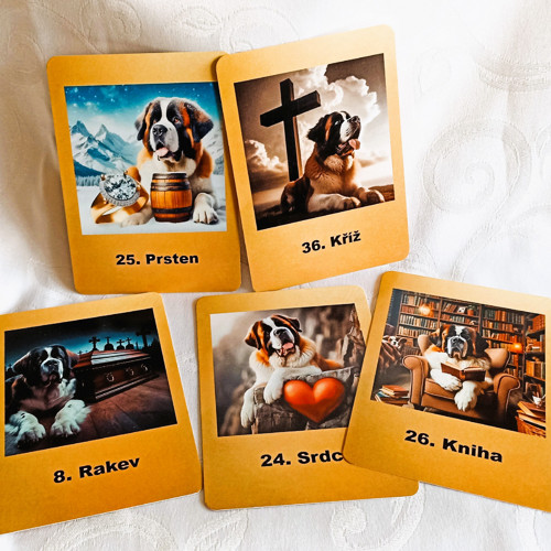 Svatobernardský Lenormand — foto 4