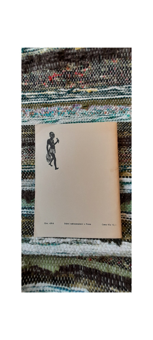 Afrika — foto 6