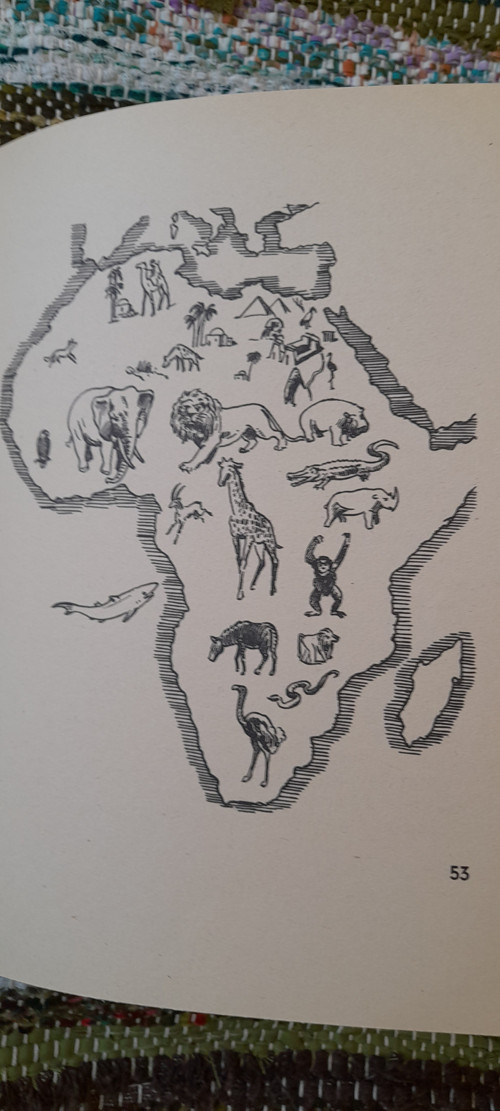 Afrika — foto 4