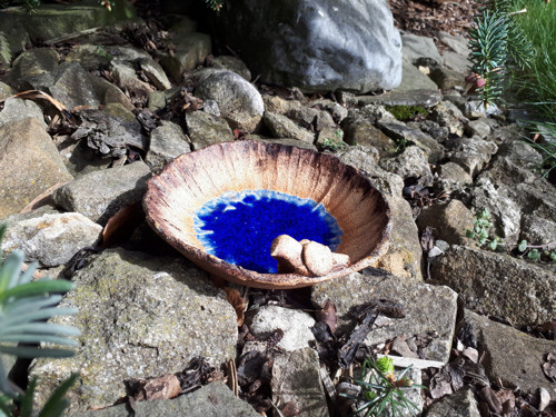 Studánka pro ptáčky, včelky i ježky — foto 2
