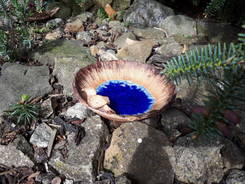Studánka pro ptáčky, včelky i ježky — foto 5