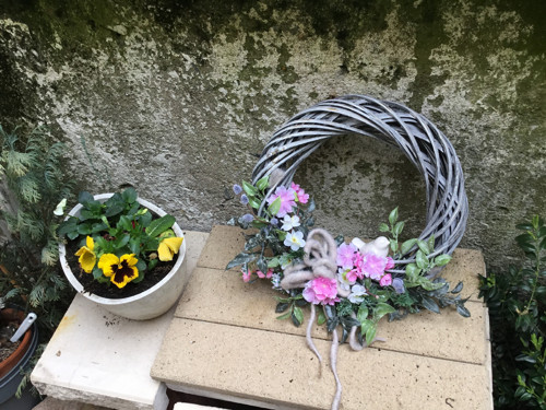 Viola — foto 2