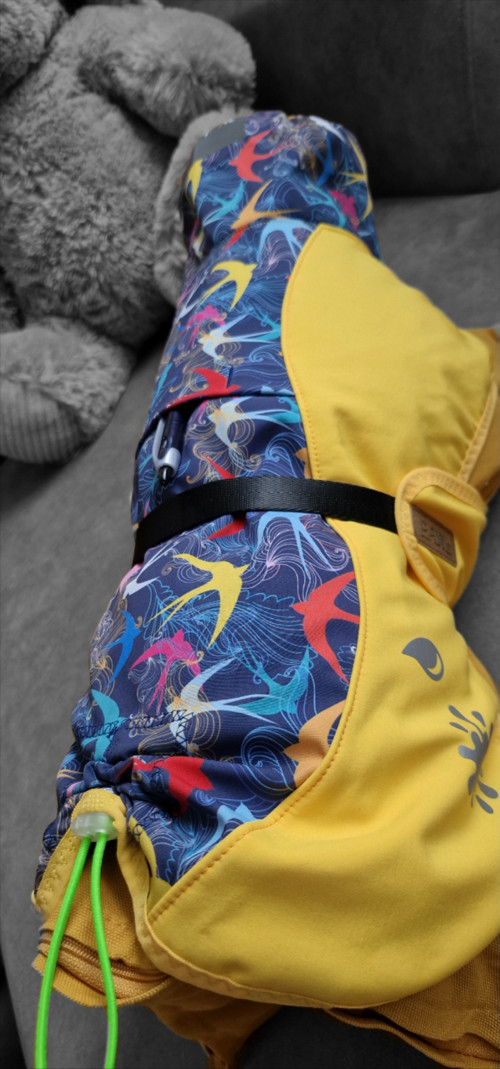 Softshellová bunda pro psa — foto 2