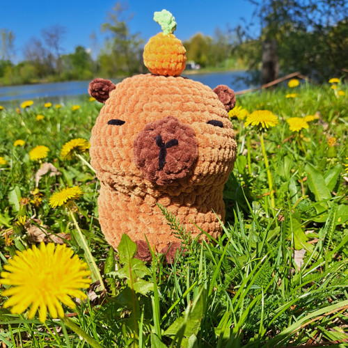 Kapybara - dle domluvy — foto 2