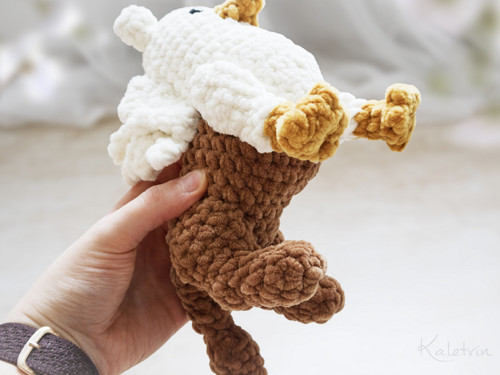 Háčkovaný gryf (gryffin, griffon) — foto 5