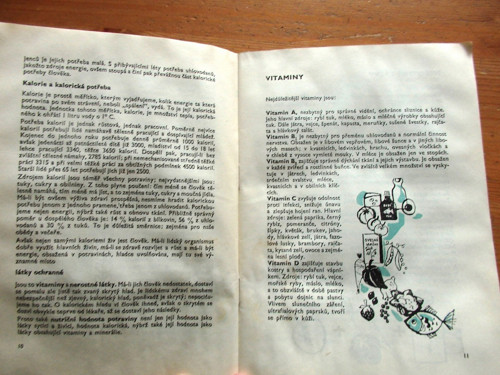 Mléko a mléčné výrobky — foto 2