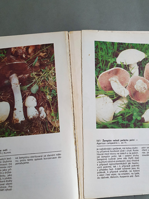 Jihočeská houbařská kuchařka — foto 6