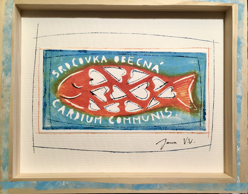 Srdcovka obecná — foto 4