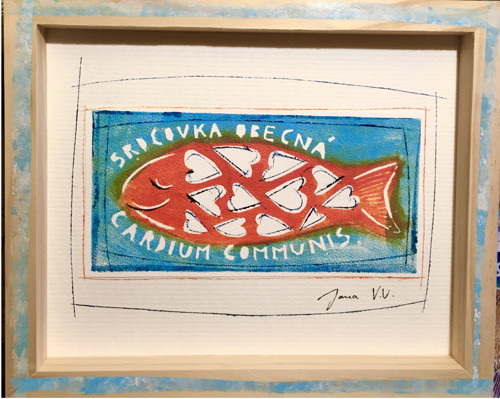 Srdcovka obecná — foto 2