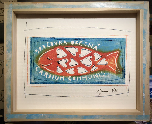 Srdcovka obecná — foto 5