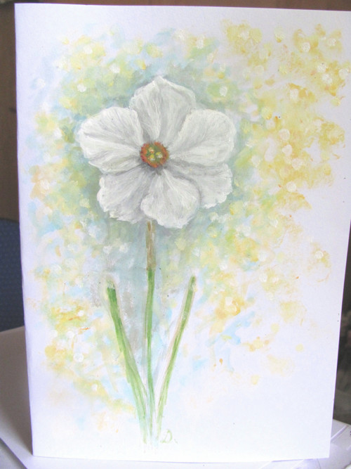 Něžný narcis, originální přání — foto 2